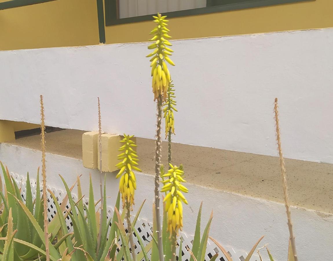 Caroni Apartment Playa del Ingles  Luaran gambar